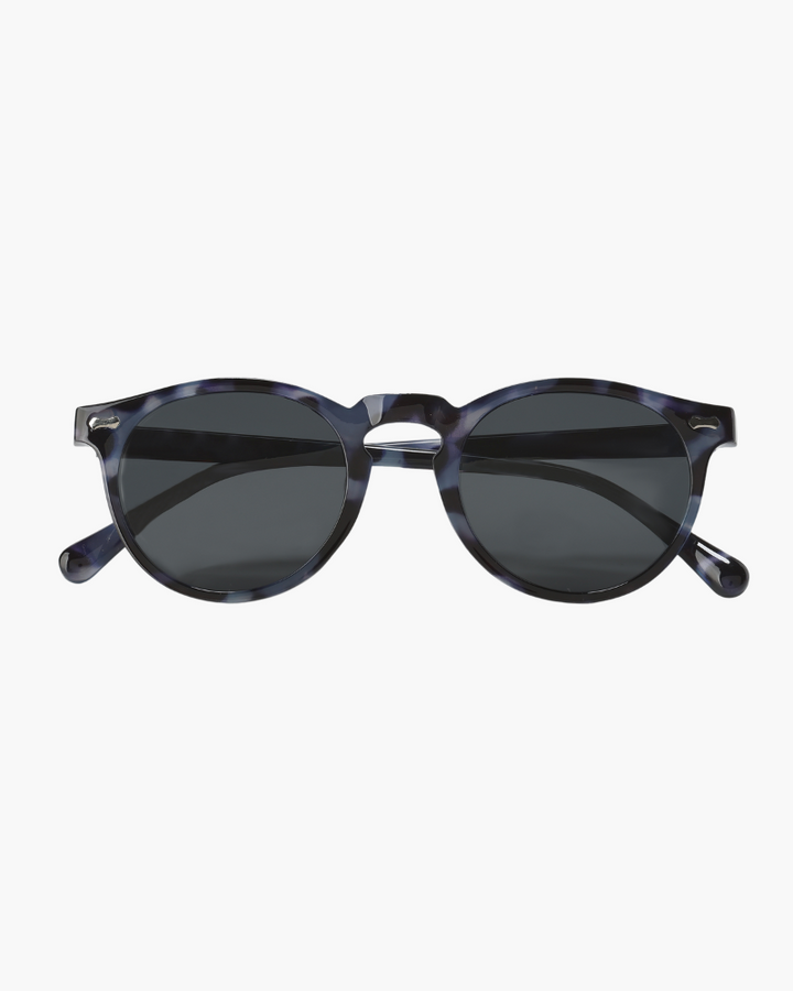 MONEY CLUB SUNGLASSES (POLARISED)