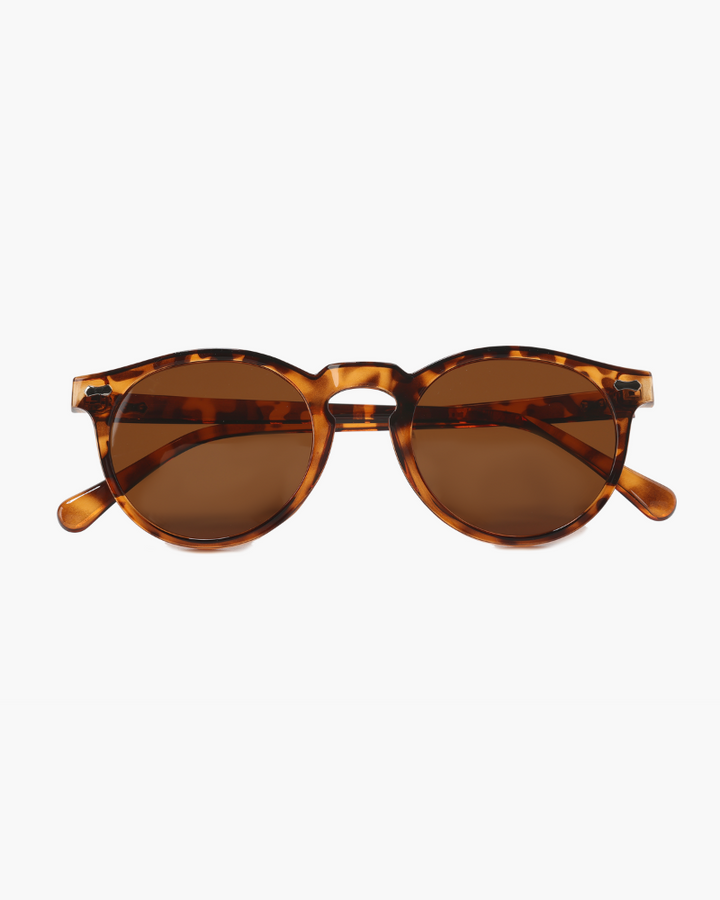 MONEY CLUB SUNGLASSES (POLARISED)
